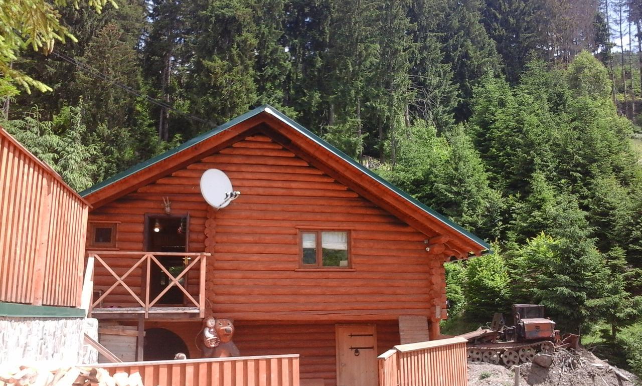 Farmstead Lisova Hostel Mizhhirya  ภายนอก รูปภาพ